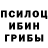 Канабис OG Kush Salim Otaev