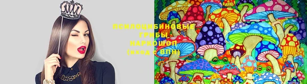 альфа пвп Куйбышев