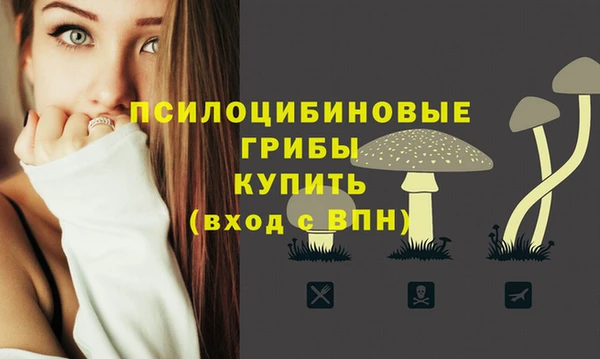 стаф Кукмор