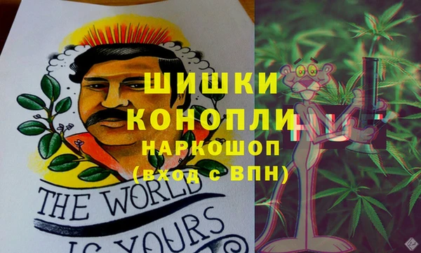 тгк Аша