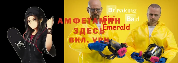 твердый Корсаков