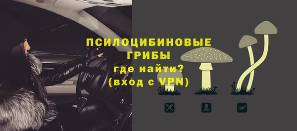 гашик Коряжма