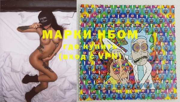 тгк Аша