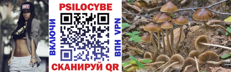 магазин продажи наркотиков  Лаишево  Псилоцибиновые грибы GOLDEN TEACHER 
